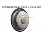 High Quality Thermostat for HOWO Truck Wiith Good Price!