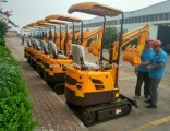 China New Excavator Mini Excavator 0.8 Ton Crawler Excavator for Sale