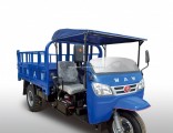 Waw Diesel Chinese Three Wheel Vehicle with Rops & Sunshade