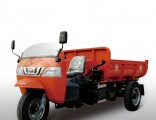 Diesel Motorized Three Wheel Truck for Sale From China