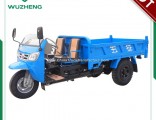 Waw Open Diesel Motorized Cargo Tricycle for Sale From China (WD3B2523101)