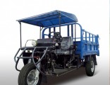 Diesel Motorized 3-Wheel Tricycle