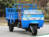 Cargo Diesel Waw Motorized 3-Wheel Tricycle for Sale From China