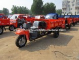 Chinese Waw Cargo Diesel Open 3-Wheel Tricycle