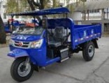 Diesel Chinese Open Cargo Motorized 3-Wheel Motorcycle
