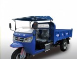 Open Cargo Diesel Motorized 3-Wheel Tricycle for Sale