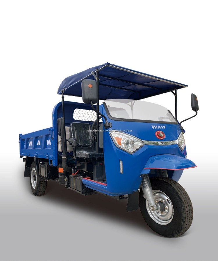 Right Hand Drive Waw Three Wheel Vehicle for Sale