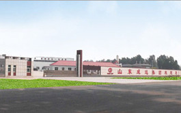 Shandong Chengda Trailer Manufacturer Co.,Ltd. 