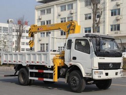 Dongfeng 4x2 Small 3 Ton Dump Truck Crane