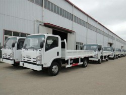 china 3 ton tipper truck