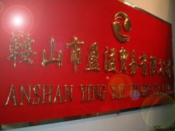 Anshan Ying Yat Trade Co., Ltd.