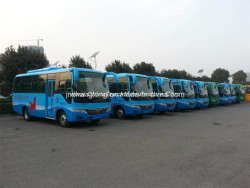 China 6.6m Small Bus 20-24 Seats Bus (diesel/ front engine)