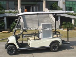 2 Person Ambulance Electric Buggy & 48 Volt Motor
