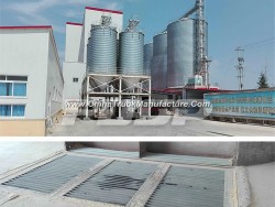 50-12000mt Flat Bottom Silo Tanks for Building Material