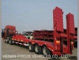 Factory Company Low Bed Lowboy Container Trailer in UAE