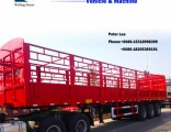 3 Axles Multi-Function Cargo Truck Trailer with 12 Container Locks