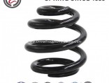 08-09 for Buick Lacrosse Front Lowering Spring