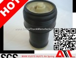 China Wholesale Supplier Air Suspension Air Spring for BMW X5
