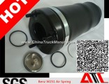 Air Suspension, Air Shock Absorber for Mercedes Benz Cars