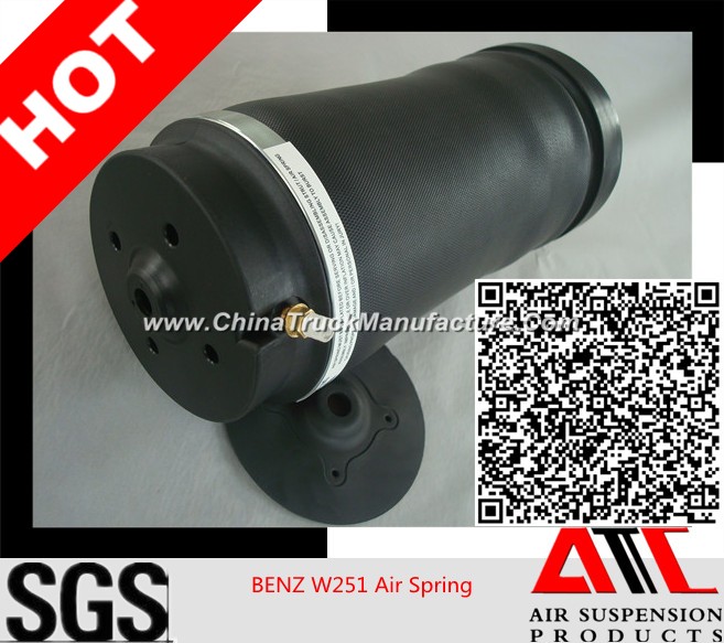 Factory Directly Offer Air Spring for Mercedes Benz W251 Rear