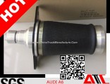 Best Sales Pneumatic Spring for Audi A6 USA Style Rear
