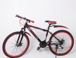 26 Size MTB Bicycle with Spoke Wheel 21 Speed (9637S)