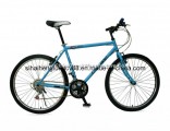 Men Simple Mountain Bicycle with 18 Speed (SH-MTB244)