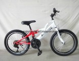 K Type Mountain Bicycle for Sale (SH-MTB253)