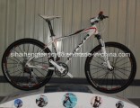 White Popular Alloy Mountain Bicycle with Disc Brakes (SH-AMTB028)