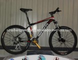 Normal Alloy Black Mountain Bike with Suspension Fork (SH-AMTB029)