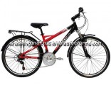 Mountain Bicycle with Suspension Fork for Sale (MTB-014)
