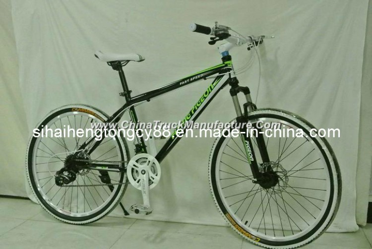 26inch 21 Speed Steel Frame Mountain Bicycle (MTB-092)