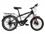Sh-MTB388 Steel Mountain Bike with Carrier and Fender