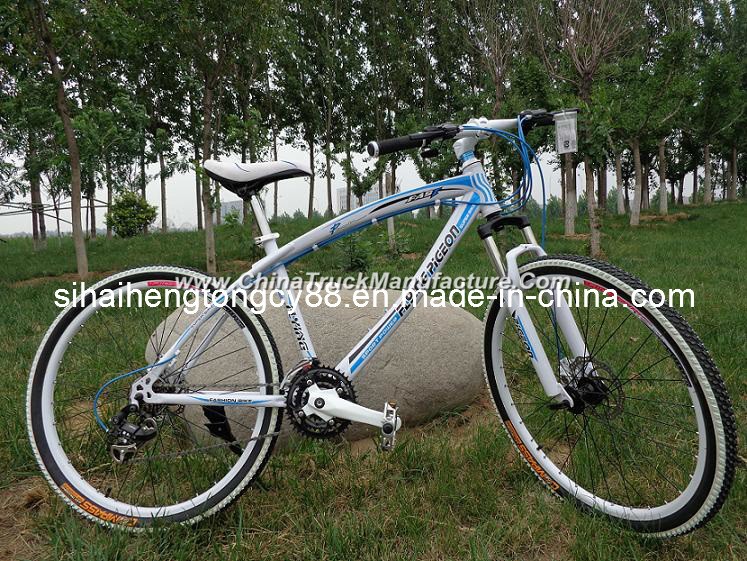 Steel MTB Mountain Bicycle MTB-093