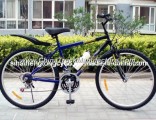 Steel Mountain Bicycle with Water Bottle (SH-MTB068)