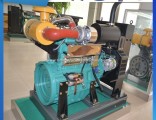 Weichai Seriese R4105D Ricardo Diesel Engine 42kw/57HP for Diesel Generator