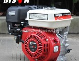 Bison (China) Factory Price BS160 Ohv Structure Air-Cooled Universal Shaft Recoil Start Samll Gasoli