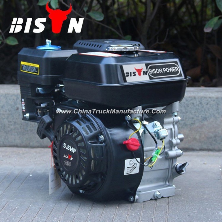Bison China Ohv Structure Single Cylinder Big Fuel Tank 5.5HP Powerful Electric Mini Engine