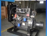 Weifang 4100ZG 1800rpm Diesel Engine with Clutch