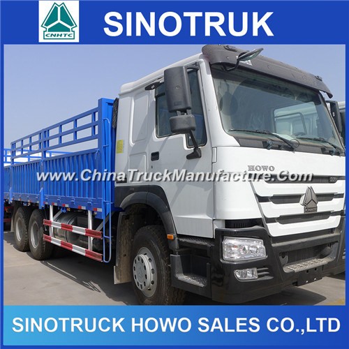 Sino Truck 10 Wheeler HOWO Van Cargo Truck for Sale