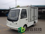 Customized Electric Mini Van with 2 Seats 6jbf