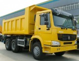 HOWO/Foton/Camc/FAW/Dongfeng Heavy Dump Truck Parts