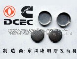 C3032693 Dongfeng Cummins Engine Part Cylinder Head Plug Piece