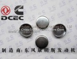 C3920443 Dongfeng Cummins Cylinder Head Plug Piece