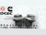 C3924148 A3904386  Dongfeng Cummins Engine Part/Auto Part Cylinder Head Plug