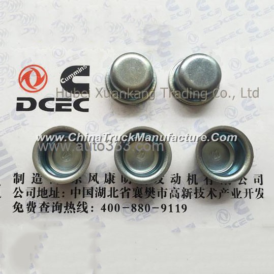 C3912900 Dongfeng Cummins Cylinder Head Plug Piece Engine Part/Auto Part/Spare Part /Car Accessiorie