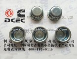 C3912900 Dongfeng Cummins Cylinder Head Plug Piece Engine Part/Auto Part/Spare Part /Car Accessiorie