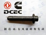 C4891179 Engine Part/Auto Part/Spare Part/Car Accessories  Dongfeng Cummins ISDE Connecting Rod Scre