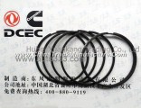 C3921919 Dongfeng Cummins piston O Ring/Piston seal ring