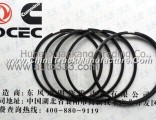 A3903384 C3932520 Dongfeng Cummins Oil Ring/Piston Ring